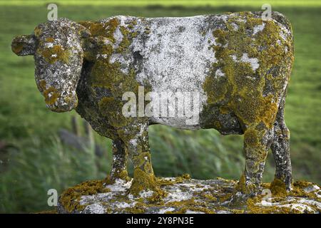 Broek à Waterland, pays-Bas - 25 août 2024 : une figure de vache couverte de mousse à la porte de la ferme Banque D'Images