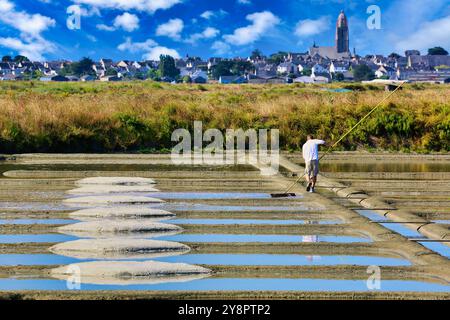 Le sel de mer, sel, Saline, Guerande, Loire-Atlantique, France. Banque D'Images