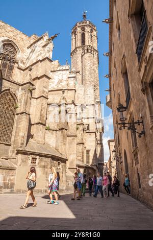 Cathédrale de Barcelone, Barcelone, Espagne Banque D'Images