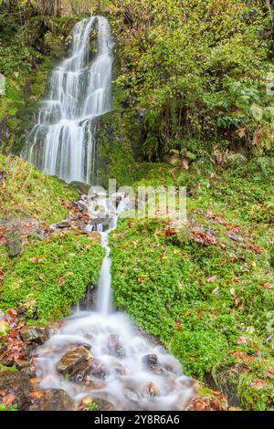 Cascade dans la vallée de Toran, vallée d'Aran dans les Pyrénées, Lleida, Espagne Banque D'Images