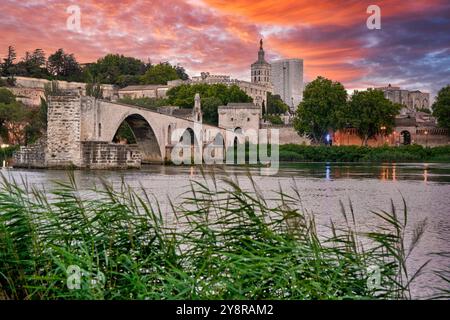 Centre historique du Palais des Papes, complexe épiscopal et le Pont Saint Benezet, le Rhône, Avignon, Vaucluse, Provence-Alpes-Côte d'Azur, France, Europe. Banque D'Images