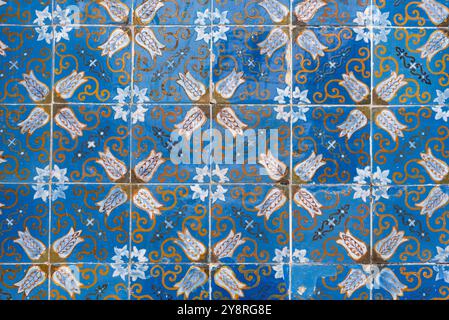 Belles tuiles bleues traditionnelles sur la façade du palais Raio dans le centre-ville de Braga au Portugal Banque D'Images