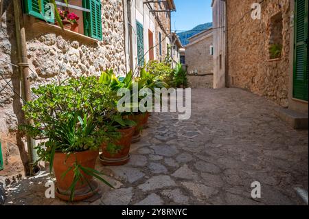 Valldemossa, rue du village de Majorque avec beaucoup de plantes en pot, plan horizontal, majorque Banque D'Images