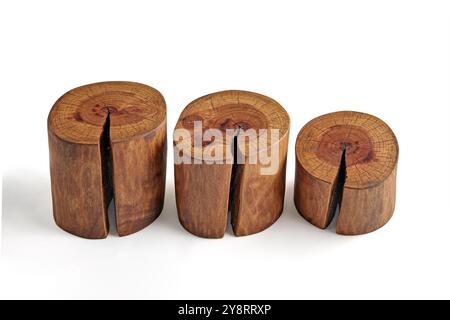 trois coupes de bois cylindriques avec des fissures isolées sur table blanche Banque D'Images