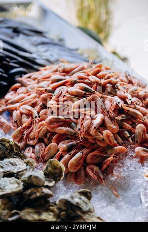 Assortiment de fruits de mer frais sur glace au marché. Crevettes, huîtres et maïs pour la photographie et les menus Banque D'Images