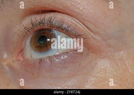 Un oeil de femme, gros plan. photo macro détaillée. Plan détaillé des vaisseaux oculaires. Banque D'Images