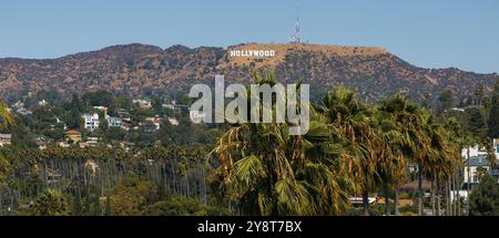 Hollywood signe avec des palmiers et Hollywood Hills à Los Angeles Banque D'Images