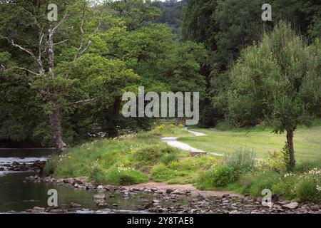 Marcher le long de la rivière Wharfe dans le North Yorkshire en été, Angleterre Banque D'Images