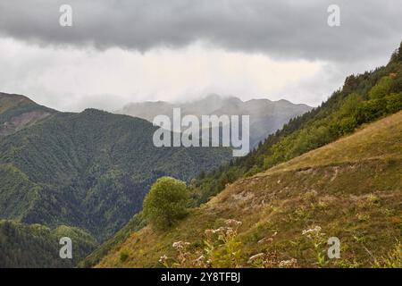 La randonnée de quatre jours de Mestia à Ushguli est la randonnée longue distance la plus populaire de Géorgie. La région est également pleine de charmantes tours Svan que vous ne pouvez pas se Banque D'Images