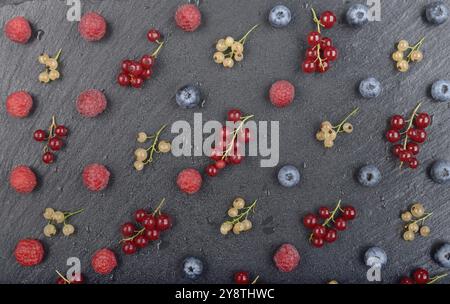 Mise à plat à la framboise myrtille mûre groseille rouge et blanc sur le plateau ardoise closeup Banque D'Images