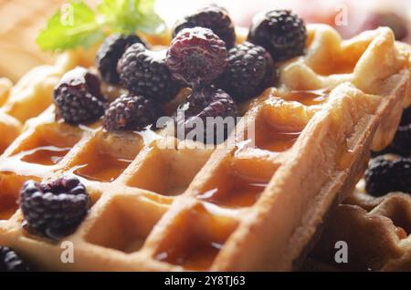 Gaufres belges croustillantes faites maison servies avec des mûres et du miel en gros plan Banque D'Images