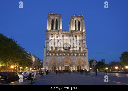 Tombée de la nuit à notre Dame, Paris, Ile-de-france, France, Europe Banque D'Images