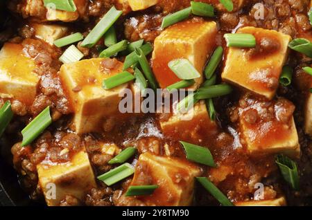 Mapo tofu dans une poêle en fonte avec ciboulette hachée de porc sauce soja poivre du sichuan ail et épices. Vue de la mise en plan Banque D'Images