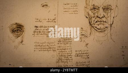 Turin, Italie, avril 2023 : dessins de Léonard de Vinci sur papier de coton fait à la main, Bibliothèque royale, Europe Banque D'Images