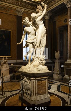 Rome, Italie, 28 décembre 2023 : Galerie Borghèse, Apollon et Daphné par Gian Lorenzo Bernini, vers 1625. Marbre de Carrare, h. cm 243, Europe Banque D'Images