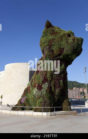 Musée Guggenheim, Bilbao, Bizkaia, pays basque, Espagne, Europe Banque D'Images