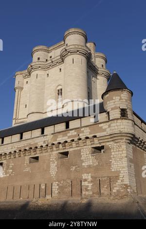 Château de Vincennes, Paris, Ile-de-france, France, Europe Banque D'Images