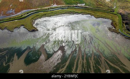 Marées plates à l'embouchure de la rivière Samish dans le comté de Skagit, Washington, États-Unis Banque D'Images