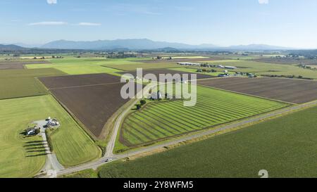 Vue aérienne de fermes dans la vallée de Skagit dans l'État de Washington, États-Unis Banque D'Images