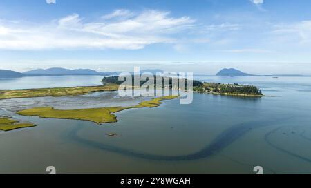 Vue aérienne des marées plates au large de l'île de Samish, État de Washington, États-Unis Banque D'Images