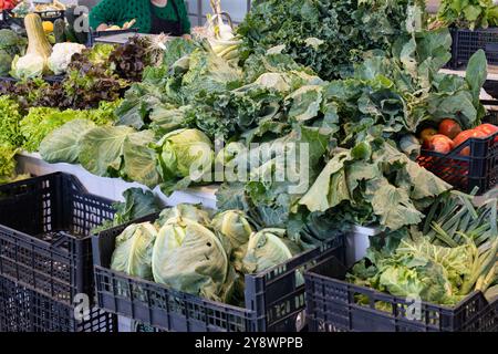 Caisses pleines de légumes verts frais, de chou et de laitue, exposées sur un stand de marché fermier Banque D'Images