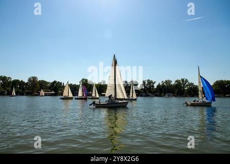 Serbie, 28 septembre 2024 : une régate de voile de Micro Class a eu lieu sur la Save à Belgrade Banque D'Images