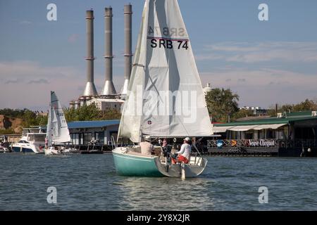 Serbie, 28 septembre 2024 : une régate de voile de Micro Class a eu lieu sur la Save à Belgrade Banque D'Images