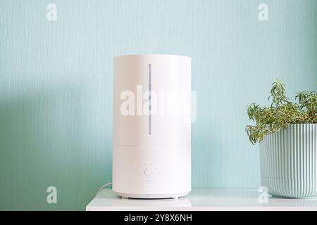 Humidificateur avec de la vapeur sortant du haut sur l'étagère par plante en pot. Banque D'Images