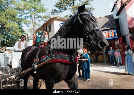 Tenue du festival de mariage de la Renaissance du Texas sur le thème médiéval Banque D'Images