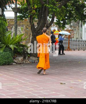 Bangkok. Un jeune moine bouddhiste par derrière alors qu'il marche dans le complexe du temple Wat Pho. Banque D'Images