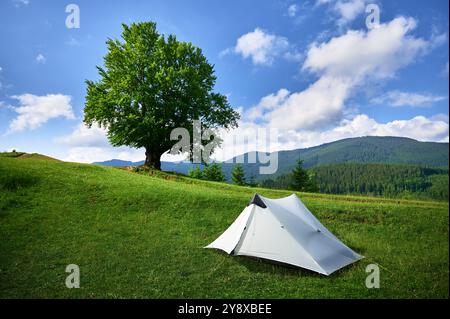 Tente touristique blanche sur une colline luxuriante et verte à côté d'un grand arbre solitaire sous un ciel bleu vif. Vue panoramique sur les montagnes boisées, créant un camping serein et pittoresque au milieu de la nature. Banque D'Images