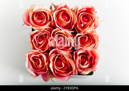 roses en tissu rose x 9, vue aérienne Banque D'Images