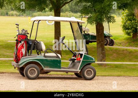 Buggy de golf stationnaire avec sac à l'arrière et sans conducteur Banque D'Images