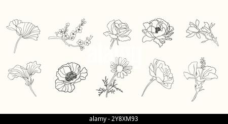 Ensemble d'illustration vectorielle de fleurs. Botanique Art floral Illustration de Vecteur