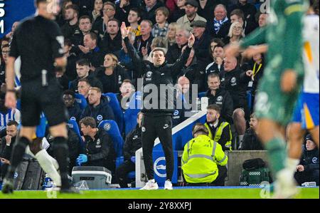 L'entraîneur principal de Brighton Fabian Hurzeler lors du match de premier League entre Brighton et Hove Albion et Tottenham Hotspur au stade American Express , Brighton , Royaume-Uni - 6 octobre 2024 photo Simon Dack / images téléphoto. Usage éditorial exclusif. Pas de merchandising. Pour Football images, les restrictions FA et premier League s'appliquent inc. aucune utilisation d'Internet/mobile sans licence FAPL - pour plus de détails, contactez Football Dataco Banque D'Images