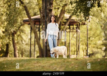 Une belle jeune femme marche joyeusement avec son chien, entourée d'un feuillage d'automne vibrant. Banque D'Images