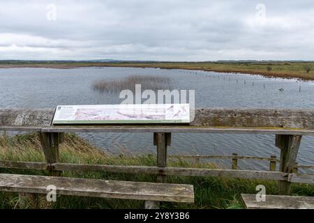 Réserve naturelle des marais de Farlington près de Portsmouth, Hampshire, Angleterre, Royaume-Uni, vue sur le lac en octobre 2024. Cette année, la vanne d'écluse contrôlant le niveau de l'eau dans la réserve naturelle n'a pas fonctionné, ce qui a entraîné l'inondation des roseaux et des zones d'eau douce, causant la mort des roseaux. Cette réserve est un site important pour la faune, y compris de nombreuses espèces d'oiseaux sauvages et d'échassiers. Malheureusement, l'argent n'est pas disponible pour résoudre les problèmes, de sorte que la perte d'habitat de zones humides pourrait être permanente. Banque D'Images