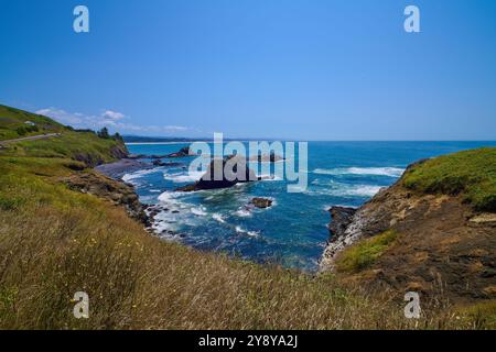Falaises rocheuses et murs du jardin marin dans la zone naturelle du phare de Yaquina. Banque D'Images