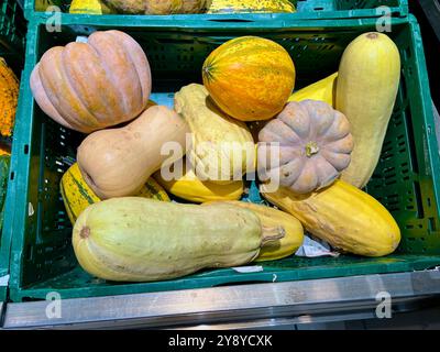 Mélange vibrant de citrouilles colorées affichées dans une boîte en plastique sur un comptoir de supermarché. Une scène de récolte d'automne parfaite, mettant en valeur les produits de saison et Banque D'Images