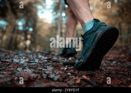 Jambes d'un coureur masculin athlétique non reconnu courir sur un sentier forestier en saison d'automne Banque D'Images