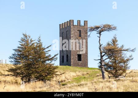 Tour d'observation supérieure de Kinpurney Hill près de Newtyle, Angus, Écosse Banque D'Images