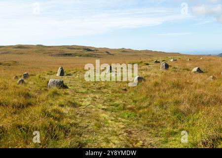 Les cercles de pierres de Burnmoor perchés sur de hautes landes, datent d'environ 2000 av. J.-C., Burnmoor près de Boot, Eskdale Banque D'Images