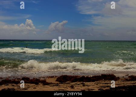 Sunny Isles, Miami, Floride, États-Unis. Une vague de mer est vue un jour d'été à Sunny Isles Beach. Photo par : Jose Bula Urrutia Banque D'Images