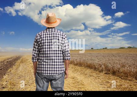 Vue arrière d'un agriculteur regardant un champ de blé Banque D'Images