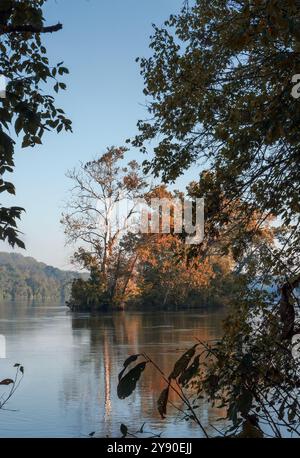 Couleurs d'automne reflétées dans le fleuve Potomac Banque D'Images