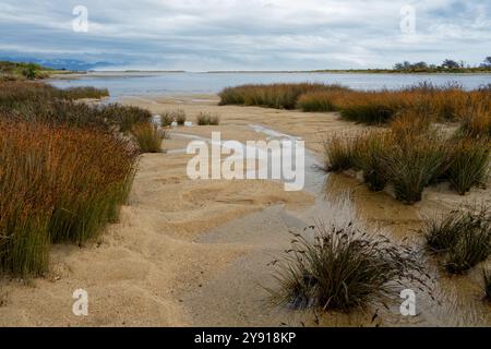 Marée basse sur la passerelle de l'estuaire de Karamea, regardant vers le sud le long de la côte, région de la côte ouest de Karamea, Nouvelle-Zélande. Banque D'Images