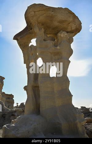 Vallée des rêves dans la nature sauvage de Bisti/de-Na-Zin, Nouveau-Mexique, États-Unis. Banque D'Images