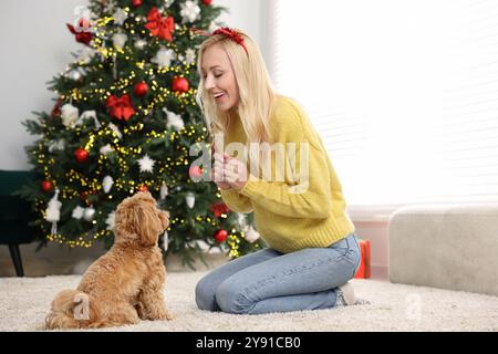 Femme avec chien mignon Maltipoo sur tapis dans la chambre décorée pour Noël Banque D'Images