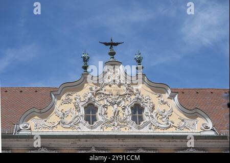 Haus zum Falken, façade et pignon dans le style rococo, détail, Oberer Markt, Wuerzburg, basse-Franconie, Bavière, Allemagne, Europe Banque D'Images