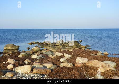 Plage de pierres sur l'île de Fehmarn par une journée calme et ensoleillée, côte de la mer Baltique près de Wallnau, East Holstein, Schleswig-Holstein, Allemagne, Europe Banque D'Images